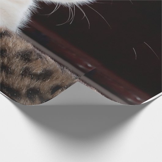 kat cadeaupapier (Hoek)