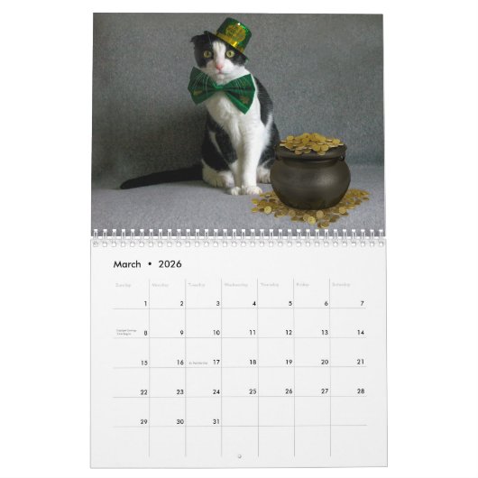 Kat Calendar 2019 - Scottish Fold Kalender (Mar 2026)