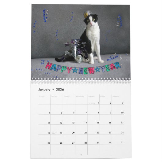Kat Calendar 2019 - Scottish Fold Kalender (Jan 2026)