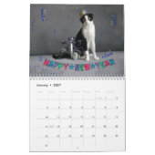 Kat Calendar 2019 - Scottish Fold Kalender (Jan 2027)