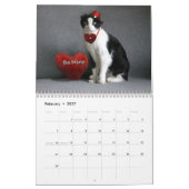 Kat Calendar 2019 - Scottish Fold Kalender (Feb 2027)