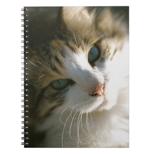 Kat Calico Tiger Notitieboek (Voorkant)
