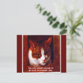 "Kat camouflage club" Briefkaart (Staand voorkant)