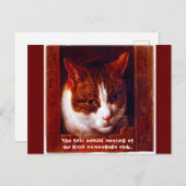 "Kat camouflage club" Briefkaart (Voorkant / Achterkant)