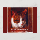 "Kat camouflage club" Briefkaart (Voorkant)