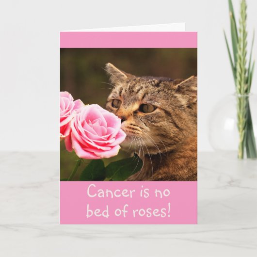 Kat Cancer Wisdom Kaart (Voorkant)