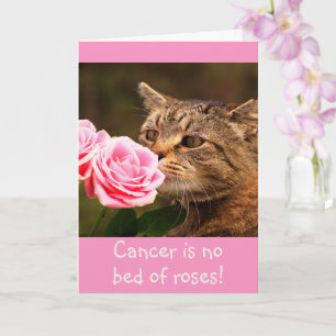Kat Cancer Wisdom Kaart