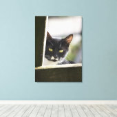 Kat Canvas Afdruk (Insitu (Houten vloer))