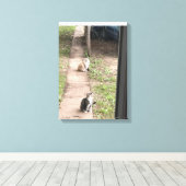 Kat Canvas Afdruk (Insitu (Houten vloer))