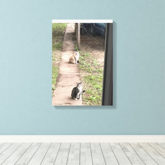 Kat Canvas Afdruk (Insitu (Houten vloer))