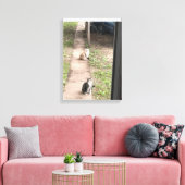 Kat Canvas Afdruk (Insitu (Woonkamer))