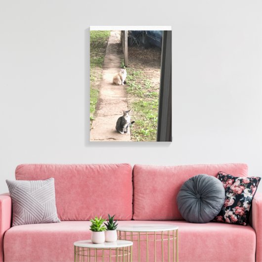 Kat Canvas Afdruk (Insitu (Woonkamer))