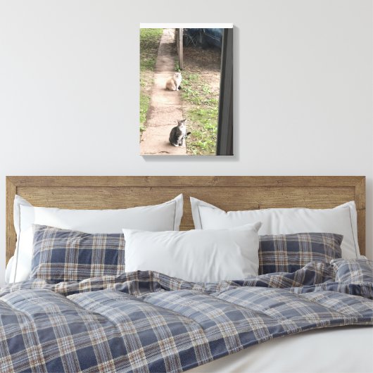 Kat Canvas Afdruk (Insitu (Slaapkamer))