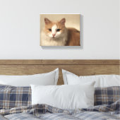 Kat Canvas Afdruk (Insitu (Slaapkamer))