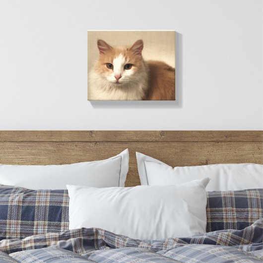 Kat Canvas Afdruk (Insitu (Slaapkamer))