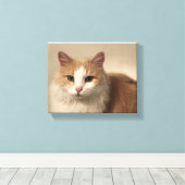 Kat Canvas Afdruk (Insitu (Houten vloer))