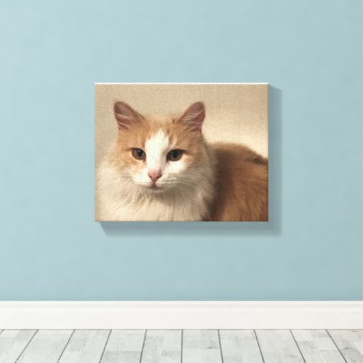 Kat Canvas Afdruk (Insitu (Houten vloer))