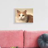 Kat Canvas Afdruk (Insitu (Woonkamer))