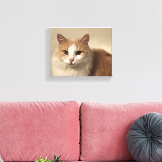 Kat Canvas Afdruk (Insitu (Woonkamer))