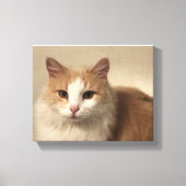 Kat Canvas Afdruk (Voorkant)