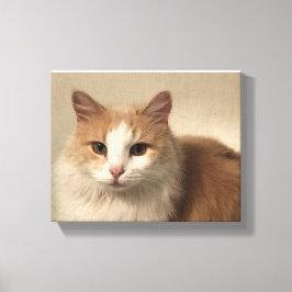 Kat Canvas Afdruk