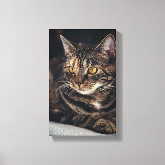 Kat Canvas Afdruk (Voorkant)