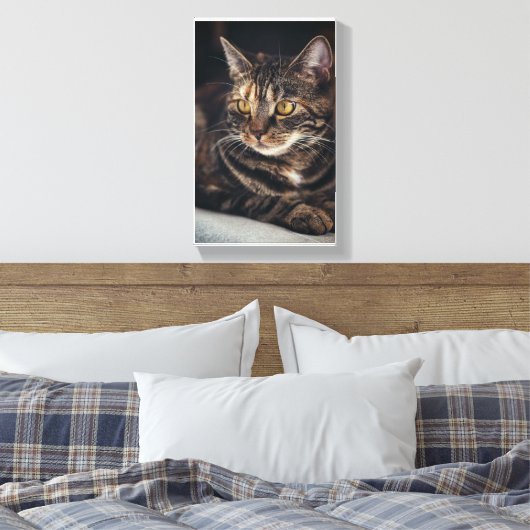 Kat Canvas Afdruk (Insitu (Slaapkamer))