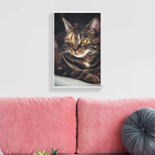 Kat Canvas Afdruk (Insitu (Woonkamer))