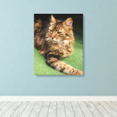 Kat Canvas Afdruk (Insitu (Houten vloer))