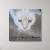 Kat Canvas afdrukken (Voorkant)