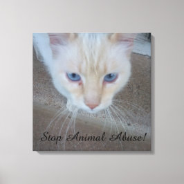 Kat Canvas afdrukken