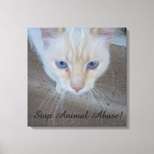 Kat Canvas afdrukken (Voorkant)