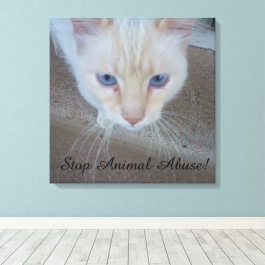 Kat Canvas afdrukken (Insitu (Houten vloer))