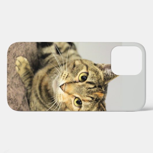 Kat Case-Mate iPhone Case (Achterkant (horizontaal))