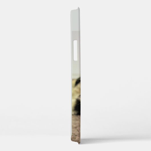 Kat Case-Mate iPhone Case (Achterkant / Rechts)