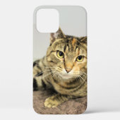 Kat Case-Mate iPhone Case (Achterkant)