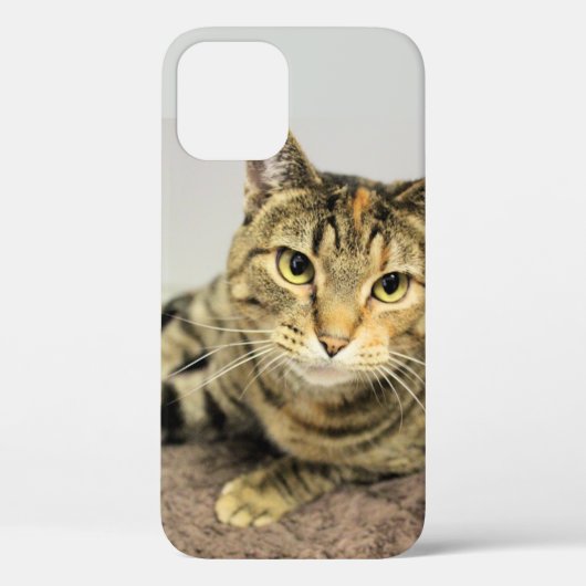 Kat Case-Mate iPhone Case (Achterkant)