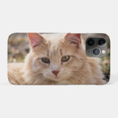 Kat Case-Mate iPhone Case (Achterkant (horizontaal))
