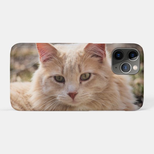 Kat Case-Mate iPhone Case (Achterkant (horizontaal))