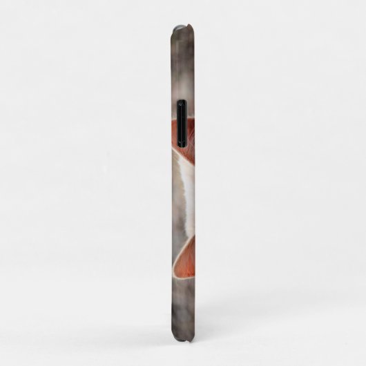 Kat Case-Mate iPhone Case (Achterkant/rechts)