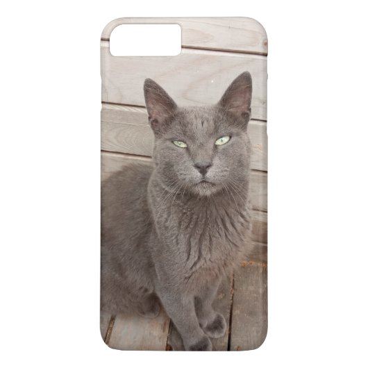 Kat Case-Mate iPhone Case (Achterkant)