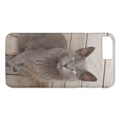Kat Case-Mate iPhone Case (Achterkant (Horizontaal))