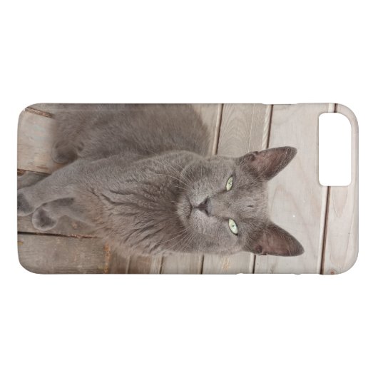 Kat Case-Mate iPhone Case (Achterkant (Horizontaal))