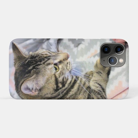 Kat Case-Mate iPhone Case (Achterkant (horizontaal))