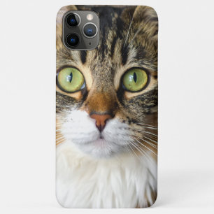 Kat Case-Mate iPhone Case