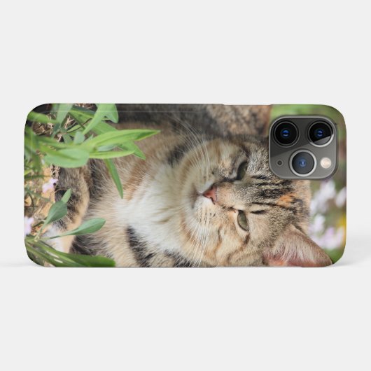 Kat Case-Mate iPhone Case (Achterkant (horizontaal))