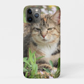 Kat Case-Mate iPhone Case (Achterkant)