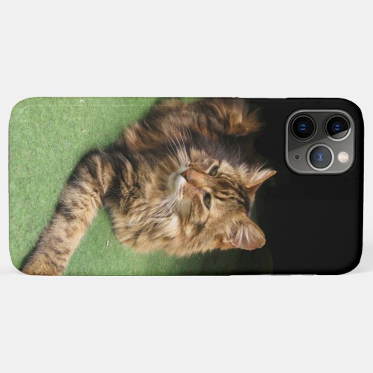 Kat Case-Mate iPhone Case (Achterkant (horizontaal))