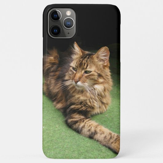 Kat Case-Mate iPhone Case (Achterkant)