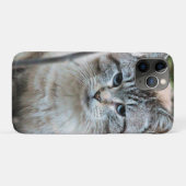 Kat Case-Mate iPhone Case (Achterkant (horizontaal))